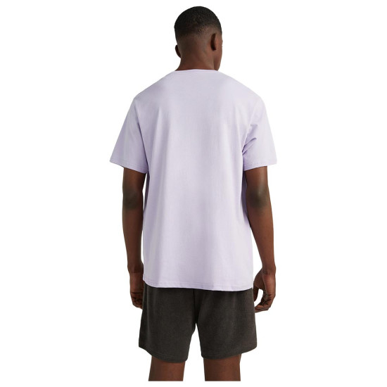 O'neill Ανδρική κοντομάνικη μπλούζα Limbo T-Shirt